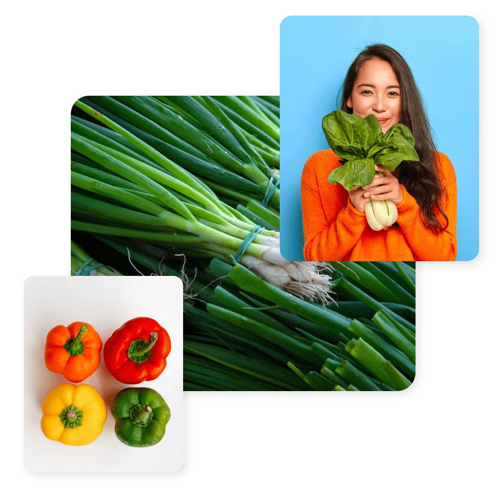 Start, Run and Scale-up Your Online Vegetable Store Easily